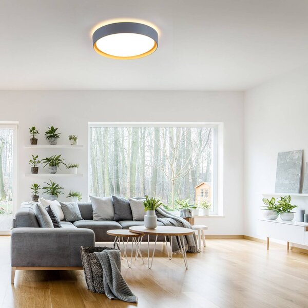 JUST LIGHT. GmbH Lampa sufitowa LED Emilia, możliwość ściemniania, aluminiowy / szary / cynkowy, salon / jadalnia, metal, nowoczesny