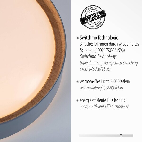 JUST LIGHT. GmbH Lampa sufitowa LED Emilia, możliwość ściemniania, aluminiowy / szary / cynkowy, salon / jadalnia, metal, nowoczesny