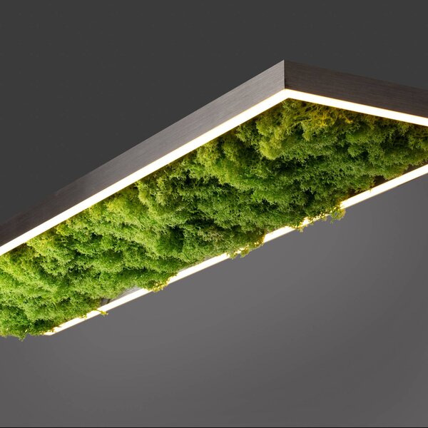 JUST LIGHT. GmbH Lampa sufitowa LED Green Knut, możliwość ściemniania, zielony, salon / jadalnia, nowoczesny