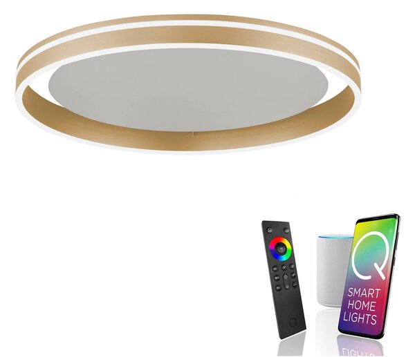 Q-Smart-Home Inteligentna lampa sufitowa Q-Vito, możliwość ściemniania, mosiężny / złoty, salon / jadalnia, metal, nowoczesny