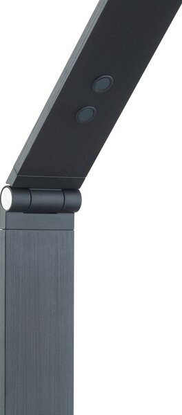 Lampa stojąca LED Salome Lucande, możliwość ściemniania, czarny, biuro, aluminium, nowoczesny