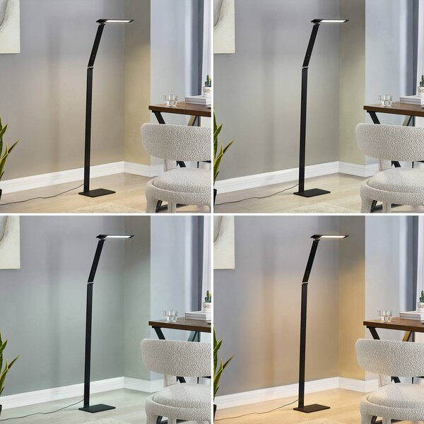Lampa stojąca LED Salome Lucande, możliwość ściemniania, czarny, biuro, aluminium, nowoczesny