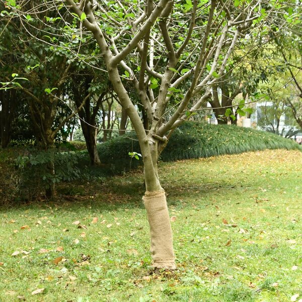 Tkanina jutowa, 2 rolki, 0,5x50 m, 100% juta, 200 g/m²