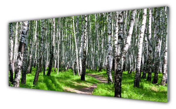 Obraz na Szkle Drzewa Trawa Natura