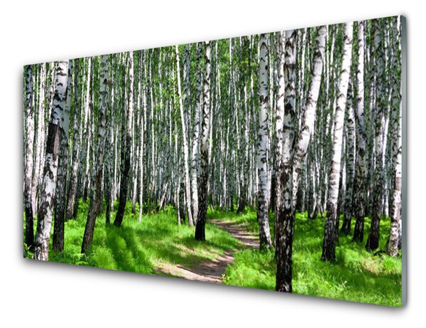 Obraz Akrylowy Drzewa Trawa Natura