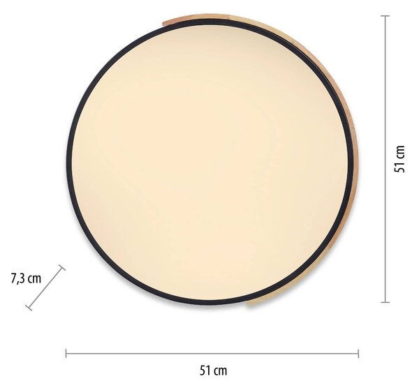 Q-Smart-Home Inteligentna lampa sufitowa Q-BILA, możliwość ściemniania, czarny, salon / jadalnia, metal
