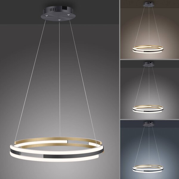 Q-Smart-Home Inteligentna lampa wisząca Q-Beluga, możliwość ściemniania, mosiężny / złoty, salon / jadalnia, metal, nowoczesny