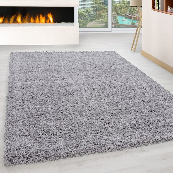 Jasnoszary dywan 120x170 cm Life – Ayyildiz Carpets