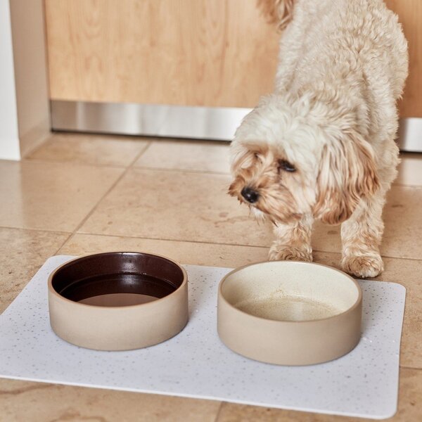Miska dla psów ceramiczna ø 13 cm Sia – OYOY Living Design