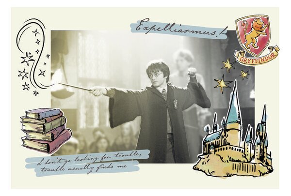 Druk artystyczny Harry Potter - Expelliarmus