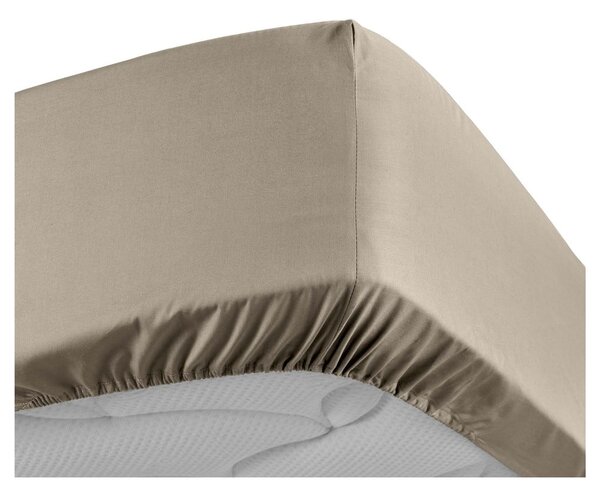 Jasnobrązowe prześcieradło z perkalu bawełnianego z gumką 90x190 cm Percaline – douceur d'intérieur