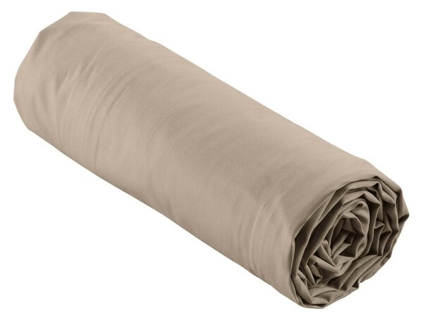 Jasnobrązowe prześcieradło z perkalu bawełnianego z gumką 90x190 cm Percaline – douceur d'intérieur