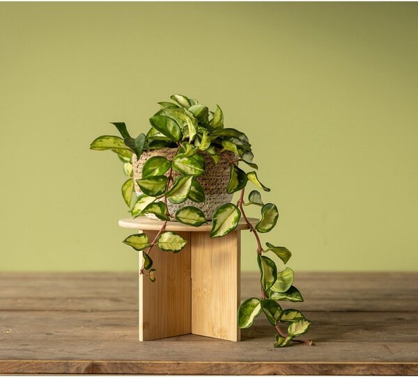 Bambusowy kwietnik ø 25 cm (wysokość 19,5 cm) – Esschert Design