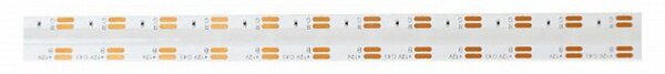 Taśma LED COB 810 15W/m RGB 12V IP20 5m ściemnialna kolorowa Ecolight