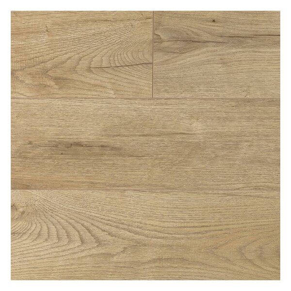 Panele podłogowe laminowane Dąb Benito AC4 8 mm Promo Flooring