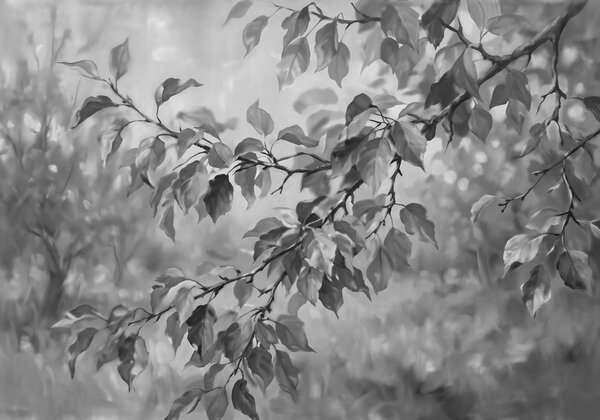 Fototapeta Czarno-białe zdjęcie gałęzi drzewa z liśćmi, Fototapety Natura, Popularne Fototapety, t00943v2 - Tapeko.pl