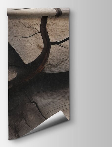 Fototapeta Naturalne wzory na zwietrzałym drewnie, Fototapety Abstrakcja, Popularne Fototapety, w04238 - Tapeko.pl