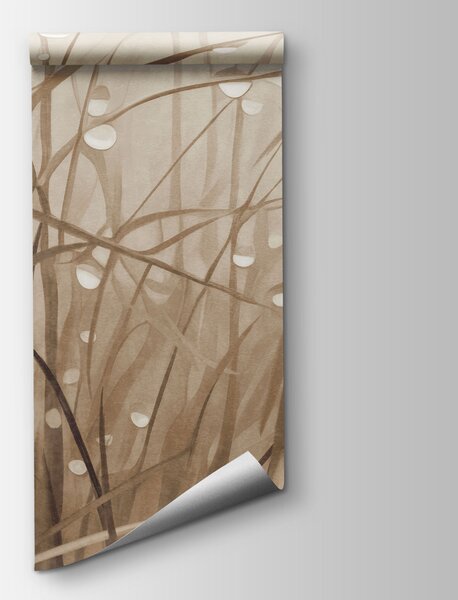 Fototapeta Delikatne krople deszczu na miękkiej trawie, Fototapety Natura, Popularne Fototapety, w09217v1 - Tapeko.pl