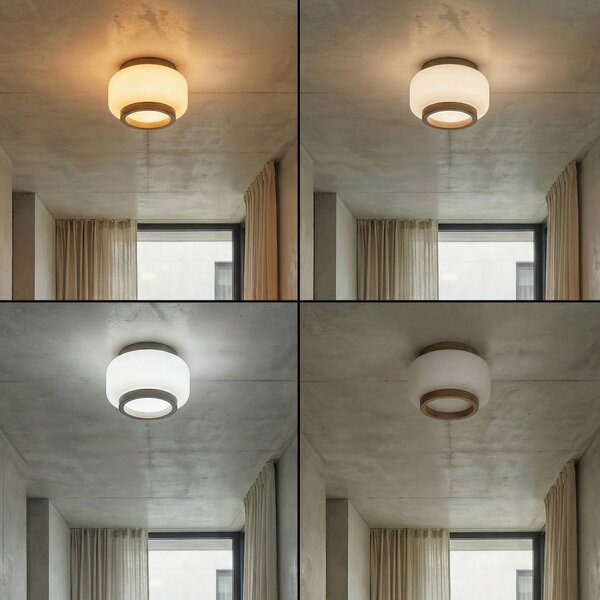 Lampa sufitowa Shiro Quitani, możliwość ściemniania, biały / opal, salon / jadalnia, szkło, design