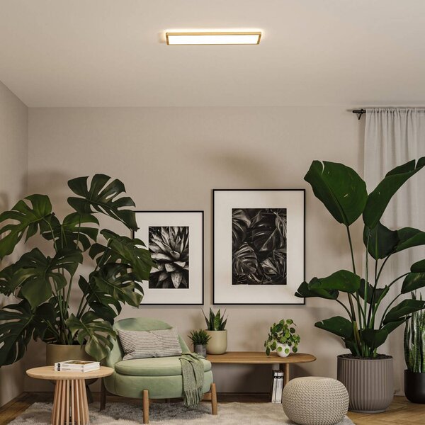 Paulmann Panel LED Atria Shine, jasne drewno, biuro, tworzywo sztuczne, nowoczesny