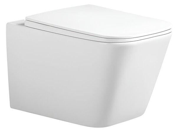 Miska WC HYDROSAN RAIN-WH-RIM-03 Prostokątny Biały