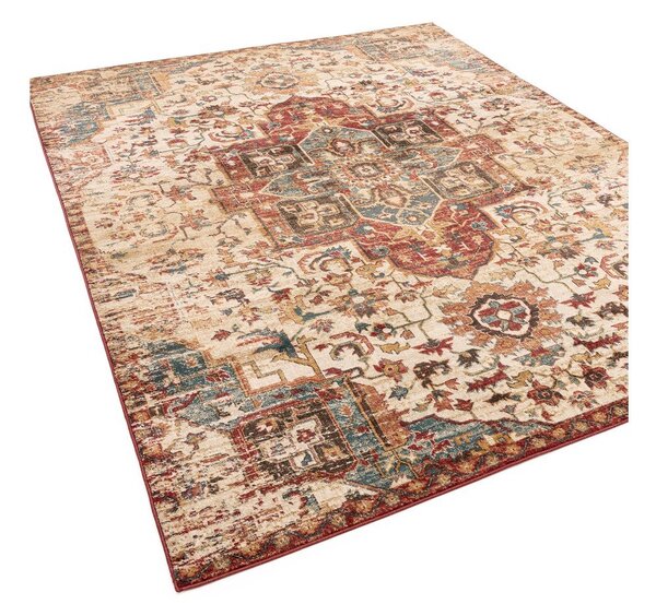 Dywan 200x275 cm Raja – Asiatic Carpets