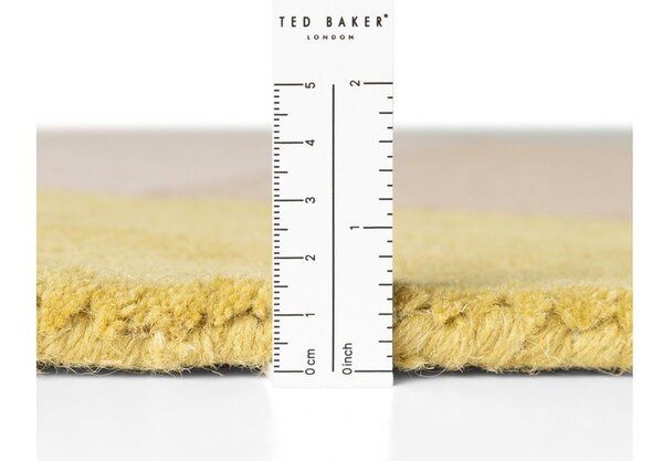 Wełniany dywan tkany ręcznie 160x230 cm Westminster Piccadilly – Ted Baker