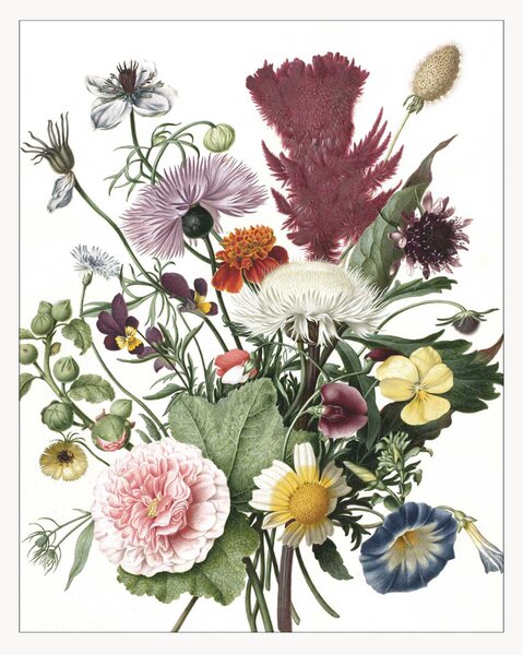 Tapeta Wild Flowers