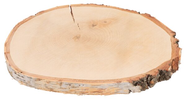 ČistéDřevo Podkładka drewniana z pnia brzozy 33–38 cm