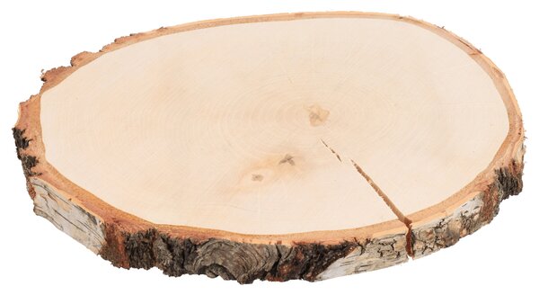 ČistéDřevo Podkładka drewniana z pnia brzozy 33–38 cm