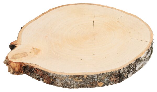 ČistéDřevo Podkładka drewniana z pnia brzozy 24–28 cm