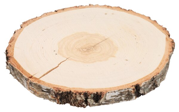 ČistéDřevo Podkładka drewniana z pnia brzozy 24–28 cm