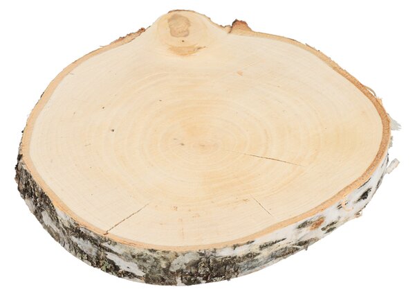 ČistéDřevo Podkładka drewniana z pnia brzozy 24–28 cm