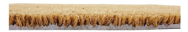 Wycieraczka z włókna kokosowego 40x60 cm Fern Leaf – Artsy Doormats