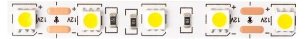 Taśma LED 300 14.4W/m 4000K 800lm/m 12V IP20 5m ściemnialna Ecolight