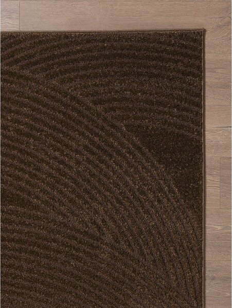 Brązowy dywan 120x170 cm Zephyr – ESTE