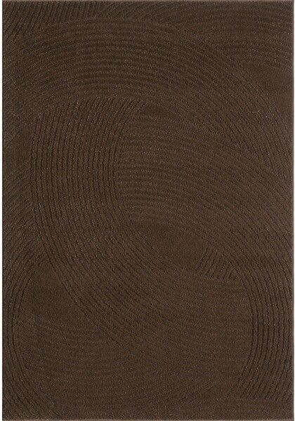 Brązowy dywan 120x170 cm Zephyr – ESTE