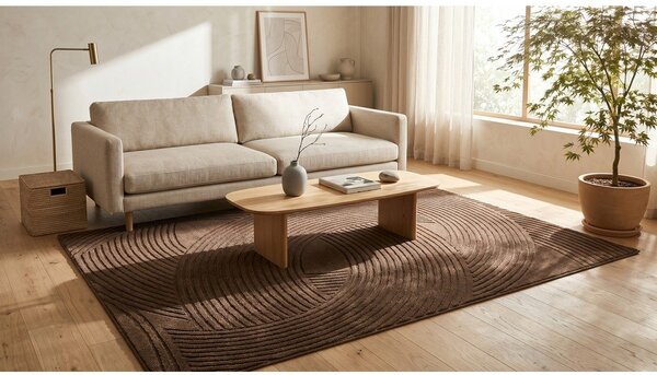 Brązowy dywan 120x170 cm Zephyr – ESTE