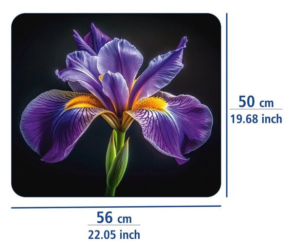 Płyta ochronna na ścianę przy kuchence ze szkła hartowanego 50x56 cm Iris – Wenko