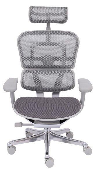 Ergonomiczny fotel biurowy Ergohuman 2 Elite GT Grey