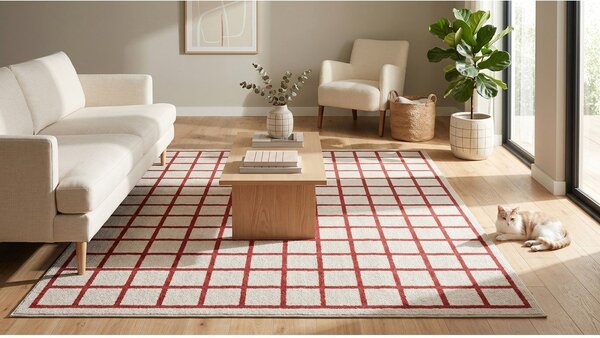 Czerwony/beżowy dywan 160x230 cm Picnic – ESTE