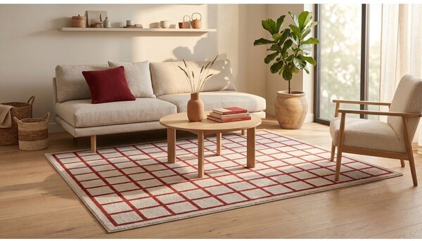 Czerwony/beżowy dywan 160x230 cm Picnic – ESTE