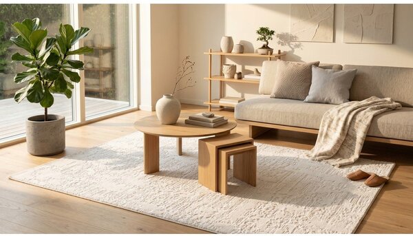 Kremowy dywan 160x230 cm Celeste – ESTE