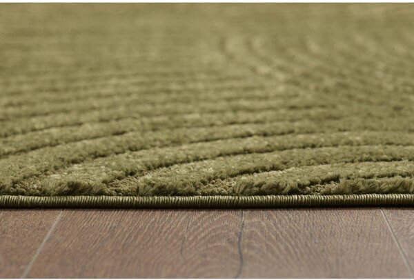 Ciemnozielony dywan 160x230 cm Whirl – ESTE
