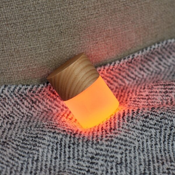 Dekoracja świetlna na USB w naturalnym kolorze ø 4,5 cm Lemelia – Gingko