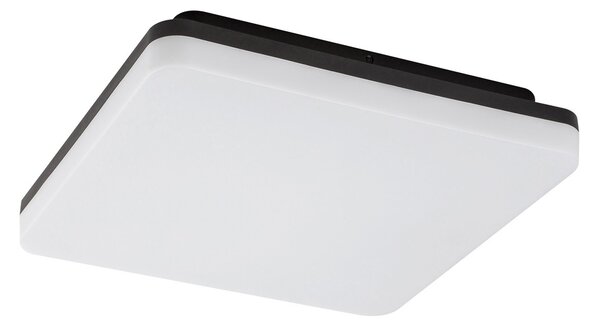Rabalux 7250 zewnętrzne / łazienkowe sufitowe oświetlenie LED Pernik