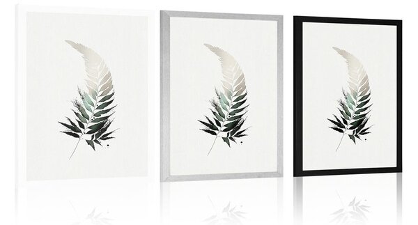 Plakat minimalistyczne liście paproci