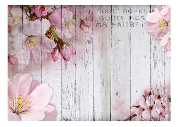 Tapeta wielkoformatowa Bimago Apple Blossoms, 400x280 cm