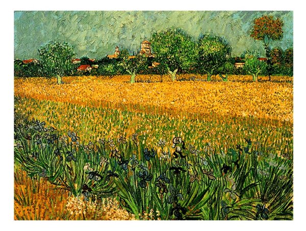 Reprodukcja obrazu Vincenta van Gogha – View of arles with irises in the foreground, 40x30 cm