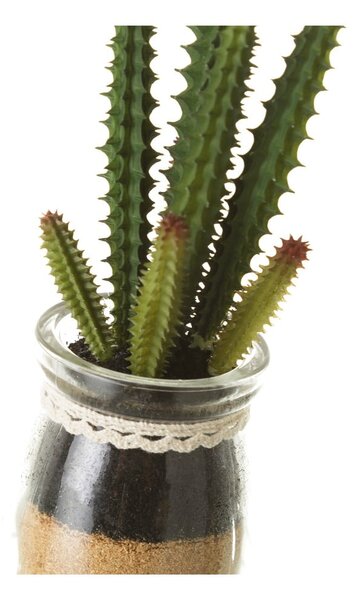 Sztuczne rośliny zestaw 4 szt. (wysokość 18 cm) Cactus – Casa Selección